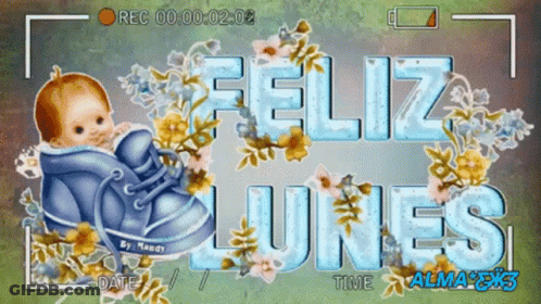 Baby In A Shoe Feliz Lunes GIF