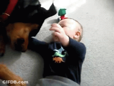 Baby In Blue Dinosaur Shirt Next To Dog GIF