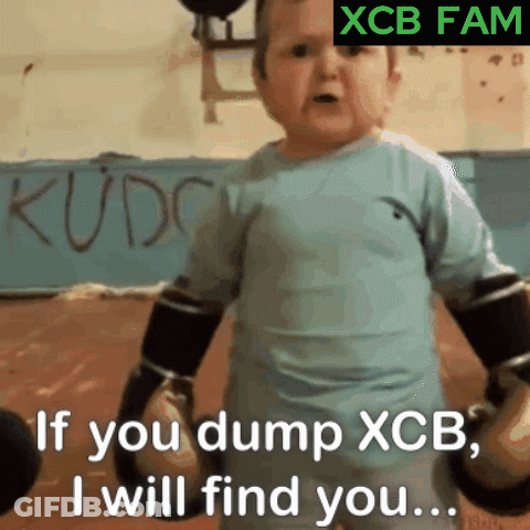 Baby In Boxing Gloves Says If You Dump XCB I Will Find You GIF