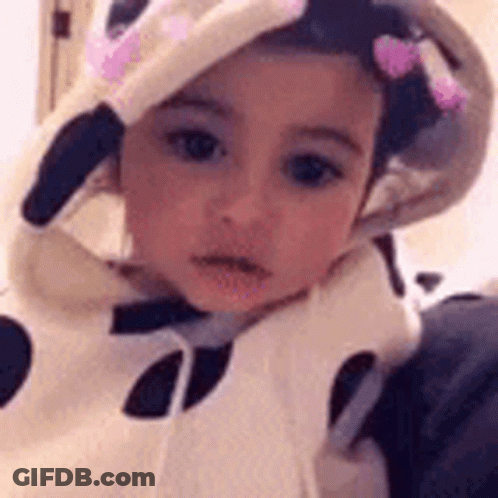 Baby In Cow Costume With Hood And Bow GIF