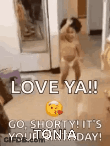 Baby In Diaper Dancing Saying Love Ya GIF