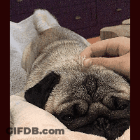 Baby In Diaper Standing On Purple Ball Gagesupersonic GIF