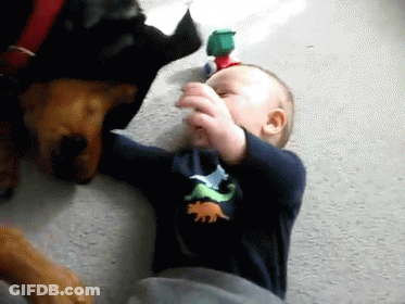 Baby In Dinosaur Shirt Playing With Dog GIF