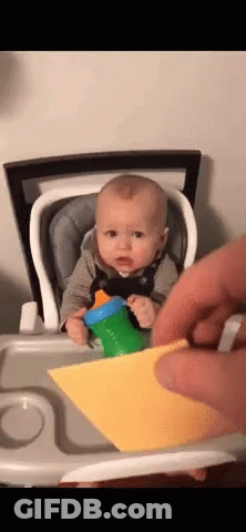 Baby In High Chair Holding Cup And Paper GIF