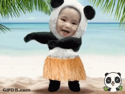 Baby In Panda Costume And Hula Skirt On Beach GIF