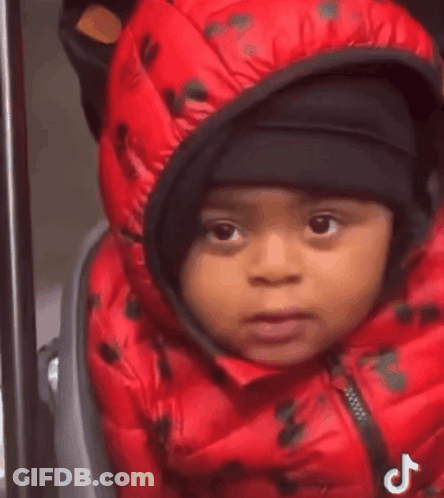 Baby In Red Jacket And Black Hat In Stroller GIF