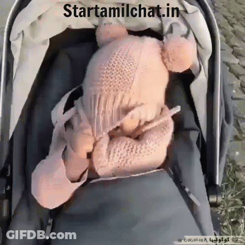 Baby In Stroller Starttamilchat.in GIF
