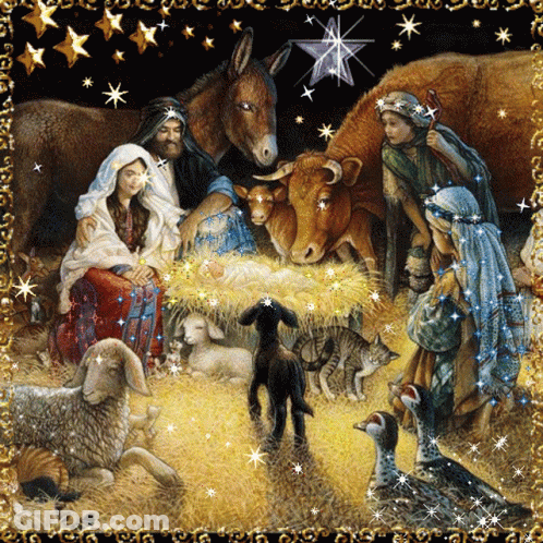 Baby Jesus 24 De Diciembre GIF