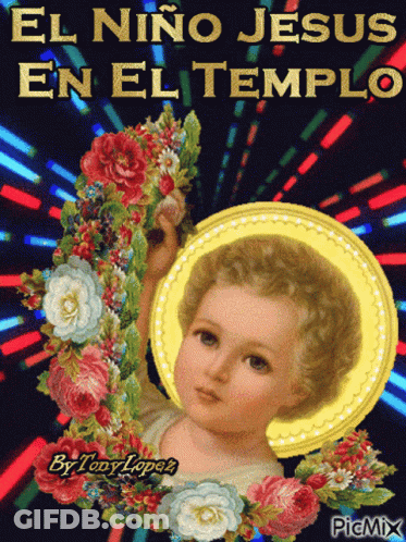 Baby Jesus El Niño Jesús En El Templo GIF