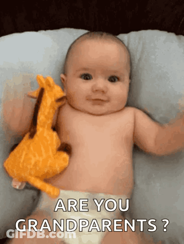 Baby Laying On Pillow Holding Giraffe GIF