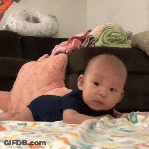 Baby Laying On Stomach On Blanket GIF