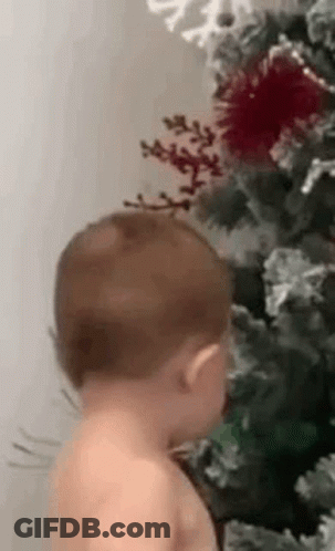 Baby Looking At Christmas Tree GIF