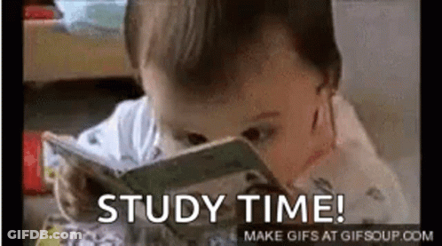 Baby Looking At Study Time Book GIF