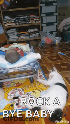 Baby Lying In Crib Next To Cat GIF
