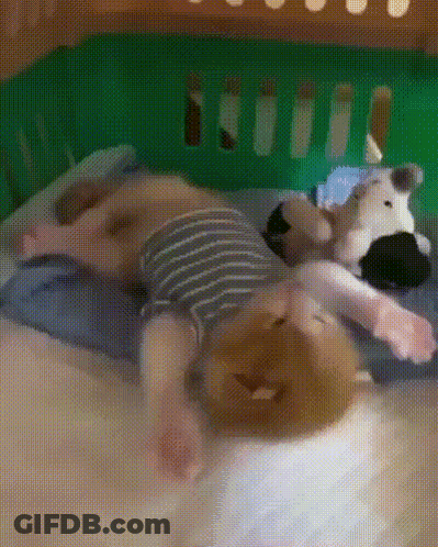 Baby Lying On Back With Stuffed Animal GIF