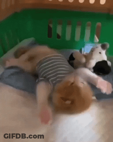Baby Lying On Bed With Stuffed Animal GIF