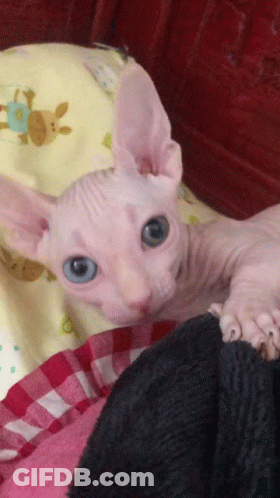 Baby Making Sad Face Held In Arms GIF
