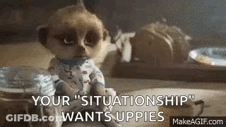Baby Meerkat Sitting On Table Says Your Situationship Wants Upsies GIF