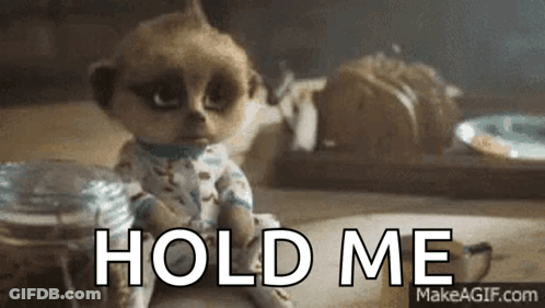 Baby Meerkat Sitting With Hold Me GIF