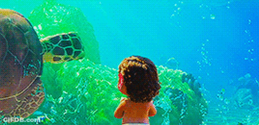 Baby Moana Watching Turtle Passing By GIF