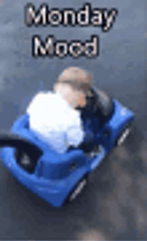 Baby Monday Mood GIF