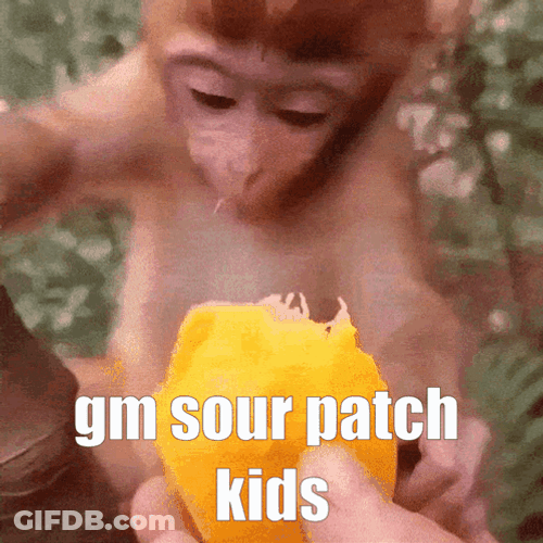 Baby Monkey Eat Sour Patch Kids Candy GIF