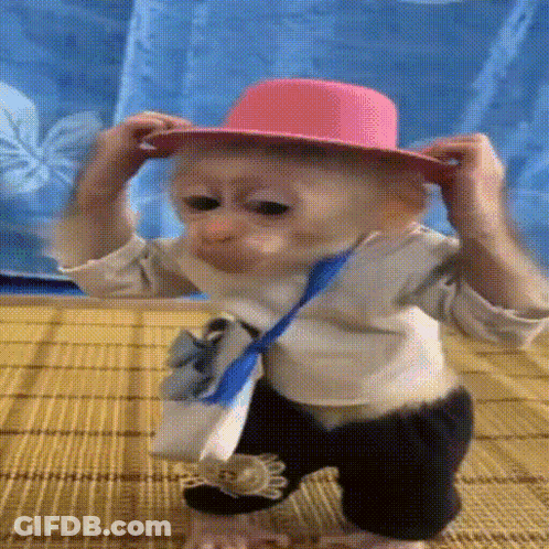 Baby Monkey In Pink Hat And Tie GIF