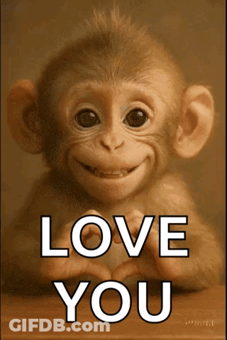 Baby Monkey Making Heart Love You GIF