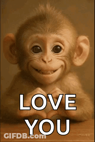 Baby Monkey Making Heart Saying Love You GIF