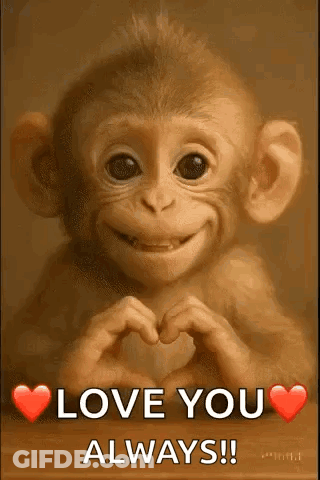 Baby Monkey Making Heart Shape Smiling GIF