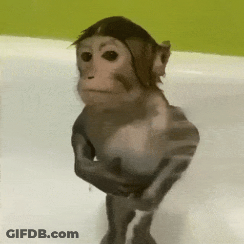 Baby Monkey Shower Meme GIF
