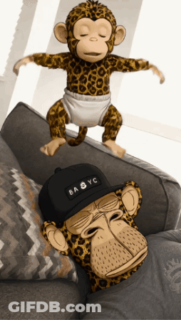 Baby Monkey Sitting On Couch Next To Monkey In Baby YC Hat GIF