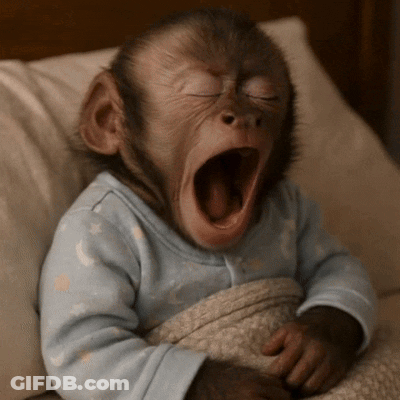 Baby Monkey Yawning In Blue Shirt GIF