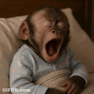 Baby Monkey Yawning In Blue Shirt GIF