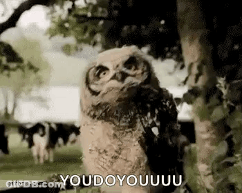 Baby Owl Next To Tree Looking At Camera GIF