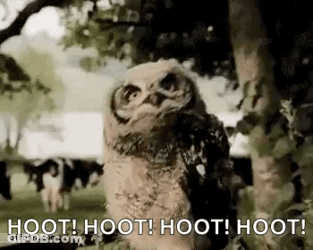 Baby Owl Standing Near Tree GIF