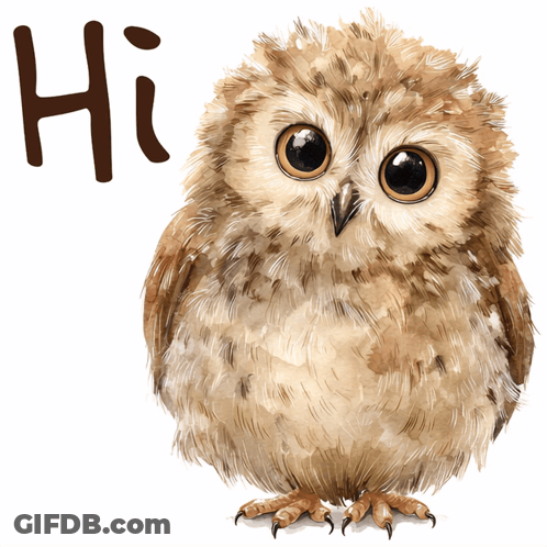 Baby Owl Standing Next To Hi Sign GIF