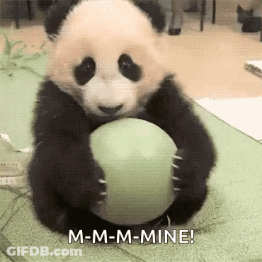 Baby Panda Bear Holding Green Ball GIF