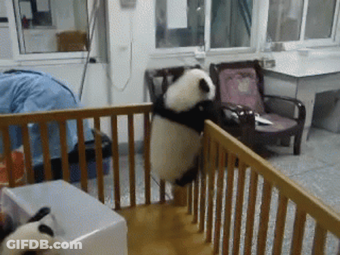 Baby Panda Crib Escape GIF