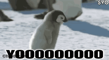 Baby Penguin In Snow Yoooooo000 GIF