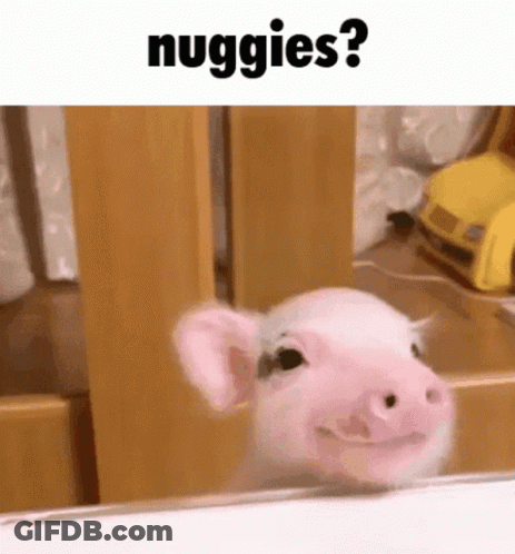 Baby Pig Smiling In Mirror GIF
