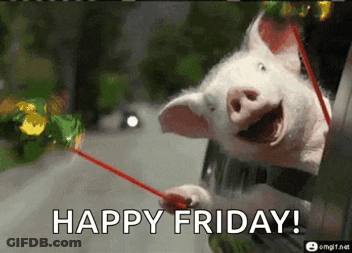 Baby Piggy Happy Friday Meme GIF