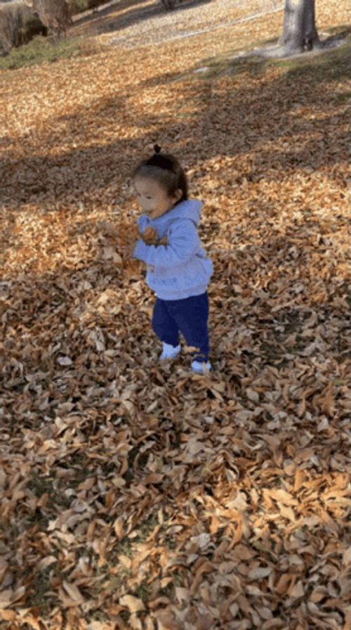 Baby Playing Scattered Falling Leaves GIF
