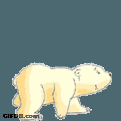 Baby Polar Bear Walk GIF