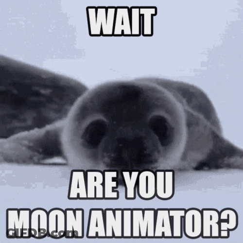 Baby Seal Crawling Towards The Camera GIF