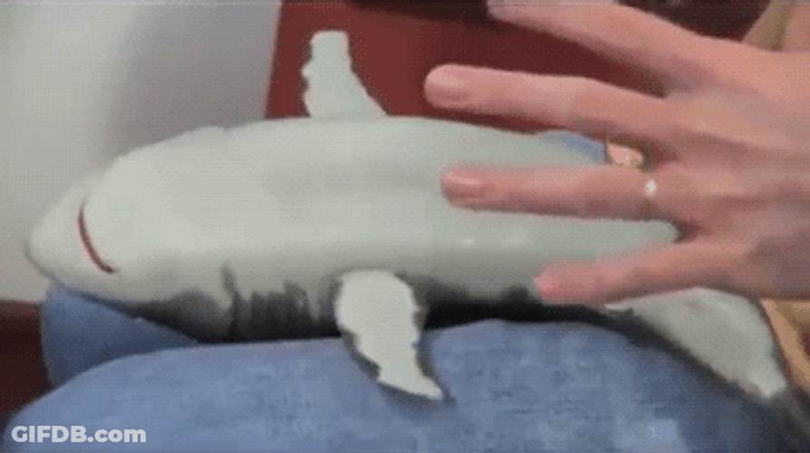 Baby Shark Cute Tickle Play GIF