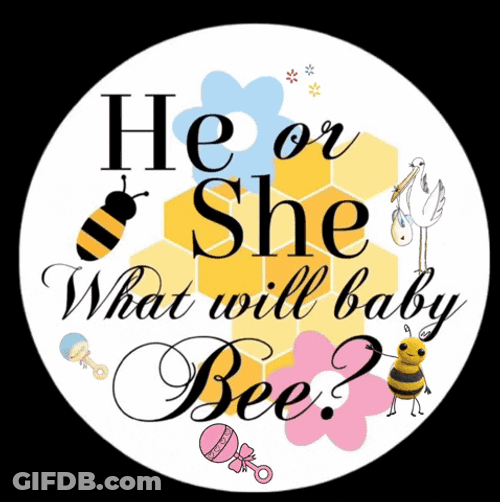 Baby Shower What Will Baby Bee GIF