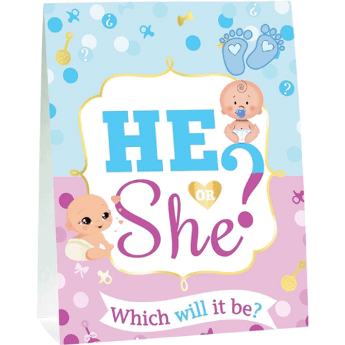 Baby Shower Which Will It Be GIF