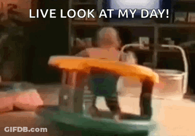 Baby Sitting In Walker Live Look At My Day GIF