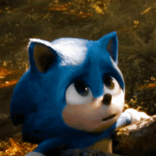 Baby Sonic Looks GIF